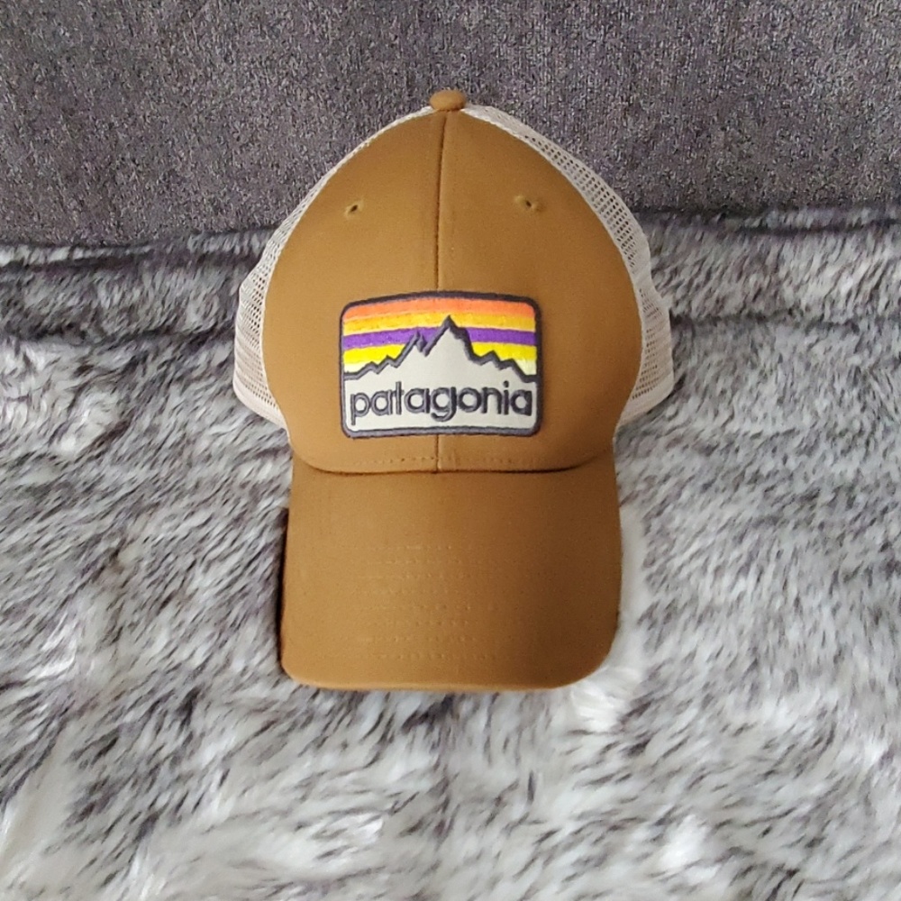 Patagonia Trucker Hat